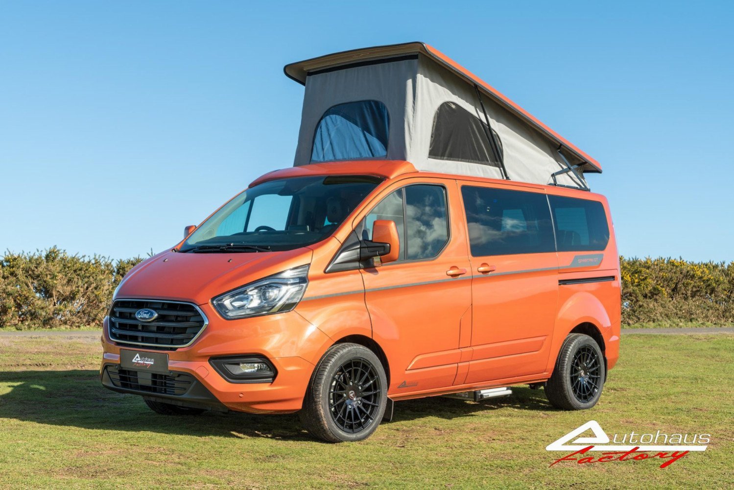 Transit gt for sales sale